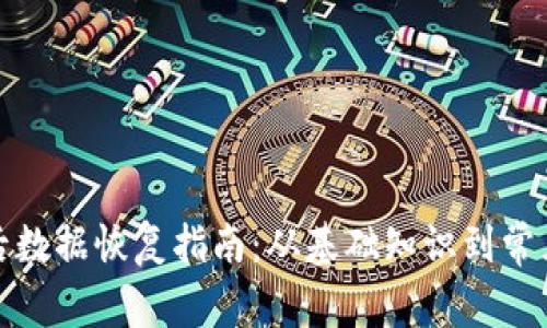 冷钱包格式化后数据恢复指南:从基础知识到常见问题解决方案