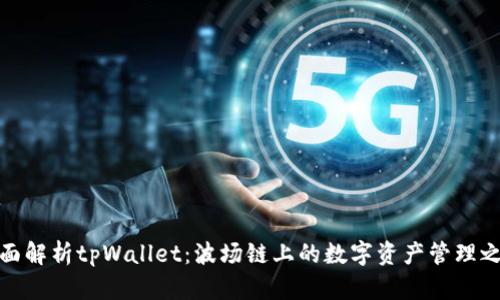 全面解析tpWallet:波场链上的数字资产管理之道