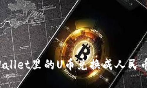 如何将tpWallet里的U币兑换成人民币:详细攻略